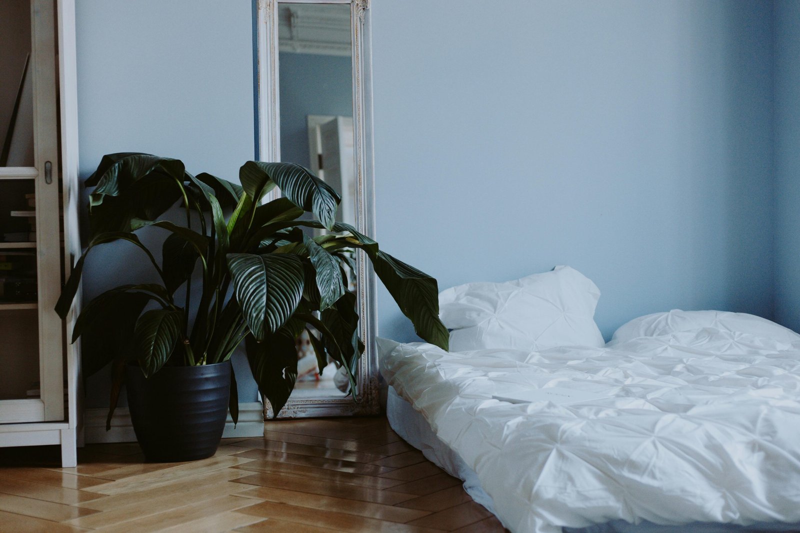 White Bed Linen on Bed beside Green Potted Plant